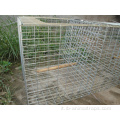Cattura della gabbia per trappole per animali da animale vivente di qualità